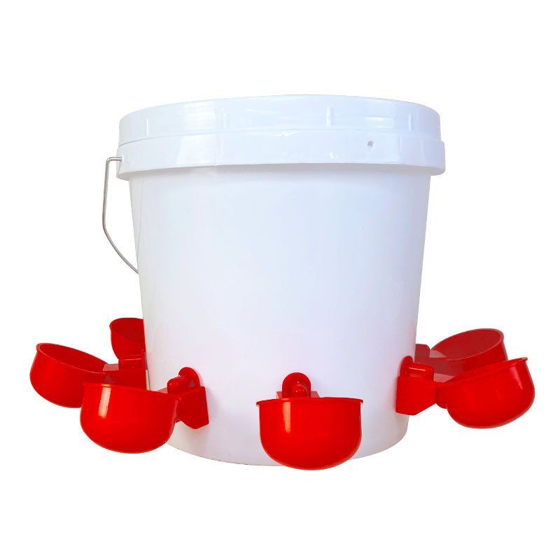 Máng uống nước tự động cho gà Dương ninh cho chim bồ câu MU44
