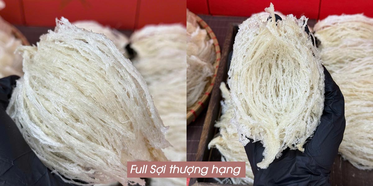 Yến tinh chế nguyên tổ Maison 100g