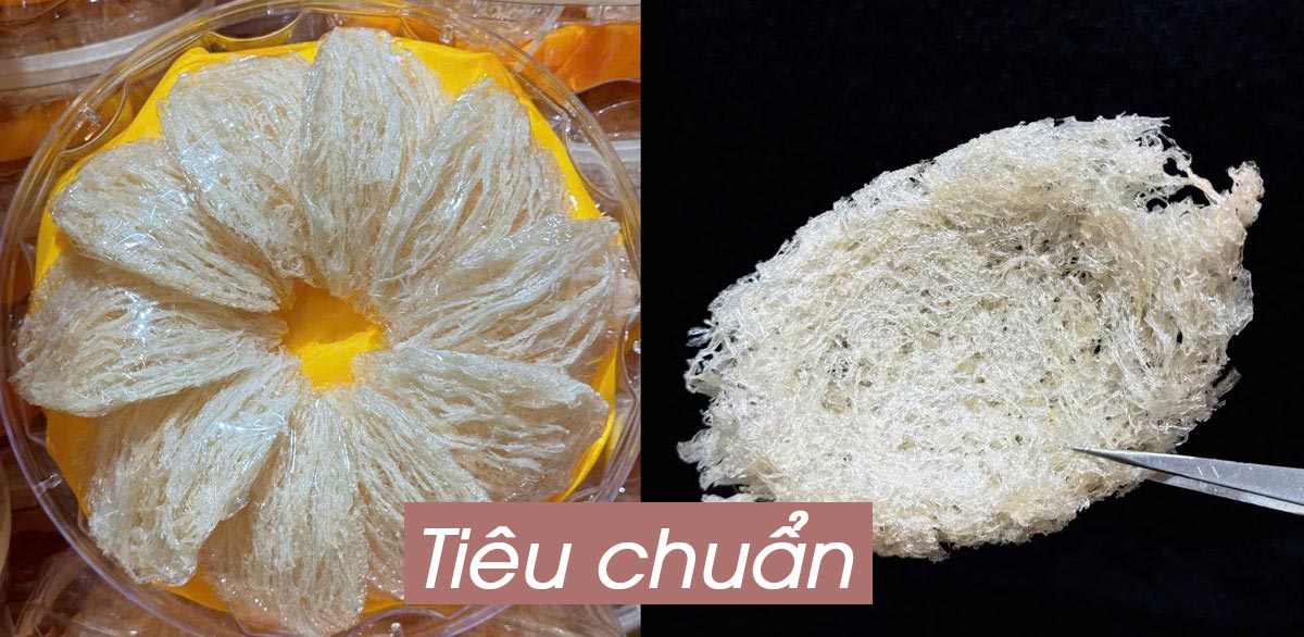 Yến tinh chế nguyên tổ Maison 100g