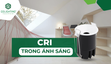 CRI Là Gì? Những Điều Bạn Cần Biết Về CRI