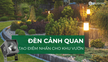Cách Tạo Điểm Nhấn Cho Sân Vườn Với Đèn Cảnh Quan