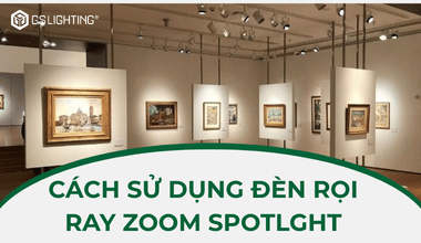 Sử Dụng Đèn Rọi Ray Zoom Spotlight Làm Nổi Bật Sản Phẩm