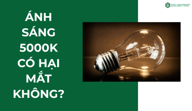 5000K Có Hại Mắt Không? Sự Thật Đằng Sau Ánh Sáng Trung Tính