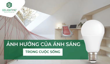 Ảnh hưởng của ánh sáng trong cuộc sống