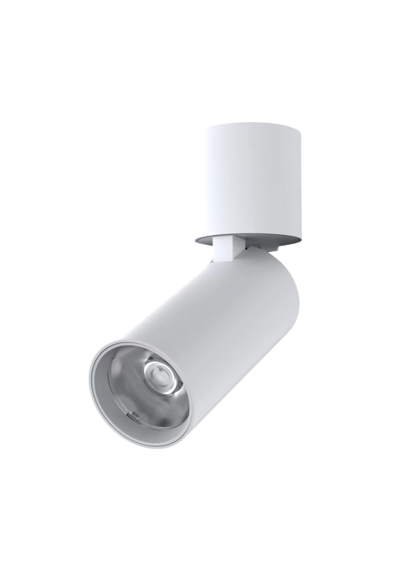 Đèn downlight ốp nổi xoay chỉnh hướng / GSOBR