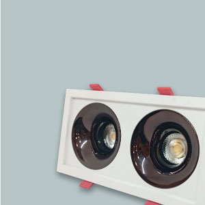 Đèn Âm Trần Đôi Chỉnh Hướng