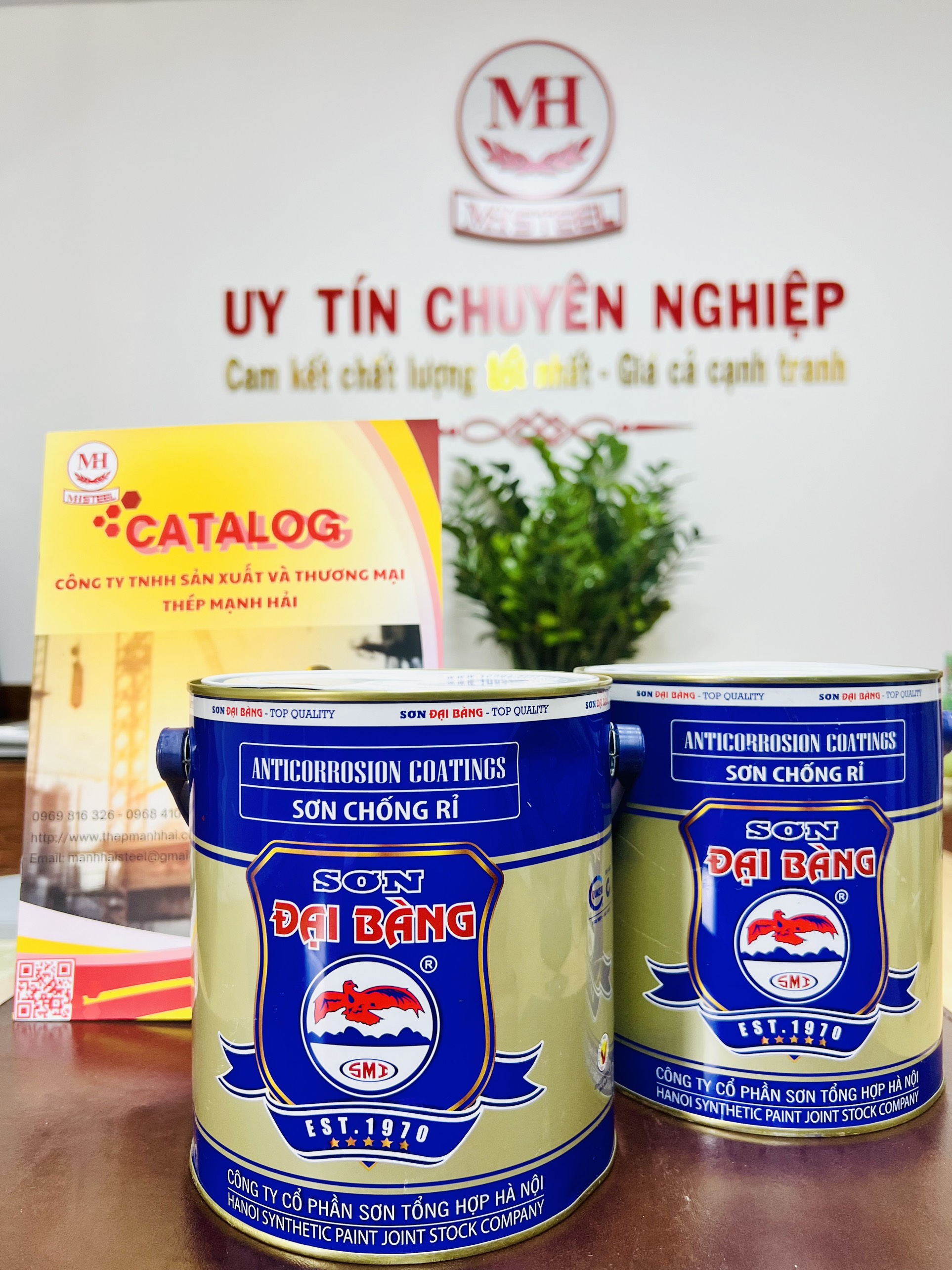 Sơn Đại Bàng bề mặt thép mạ kẽm | Thép Mạnh Hải