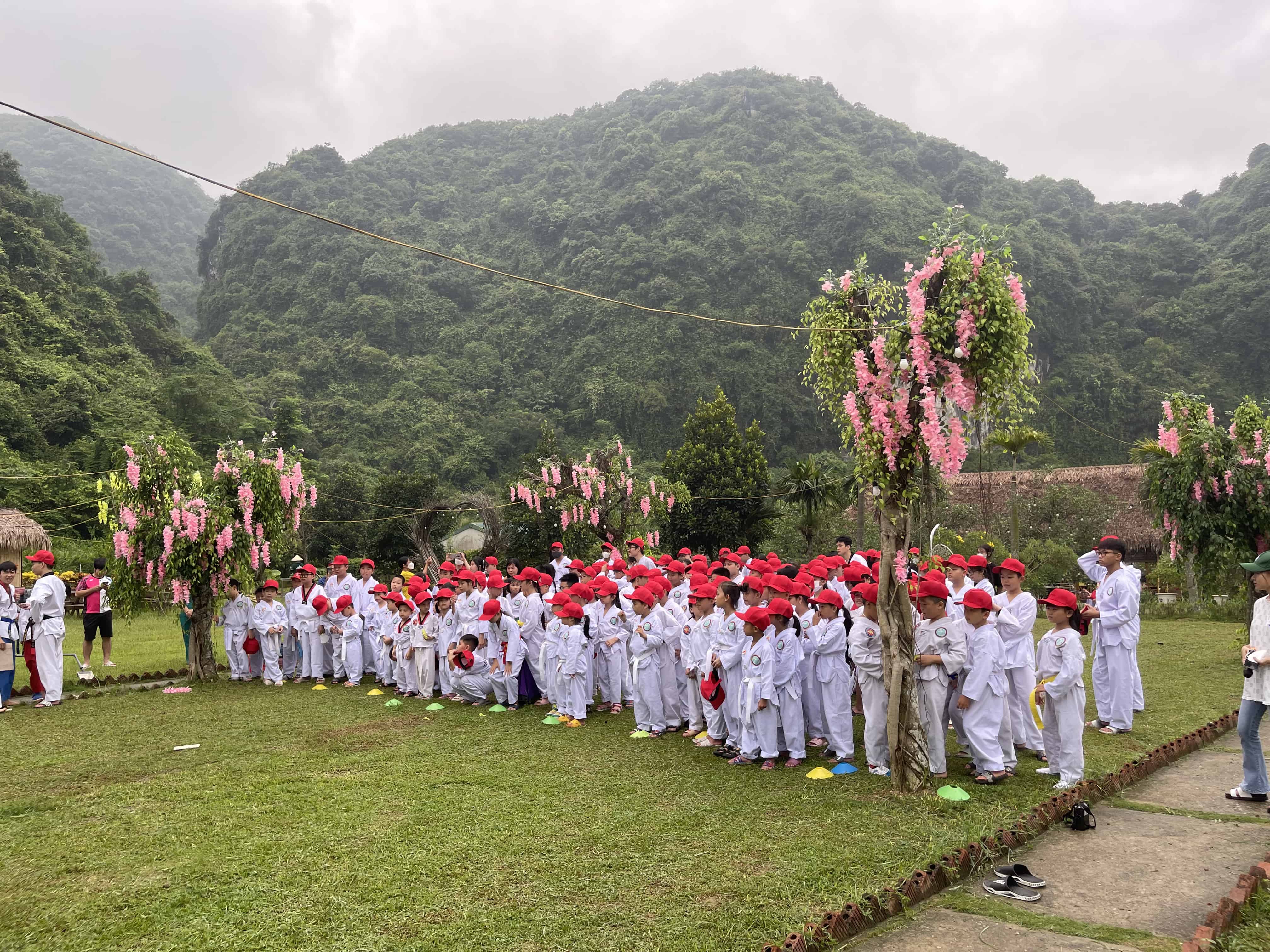 học võ Taekwondo