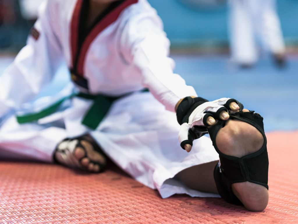 WTF Taekwondo