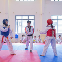 TRUNG TÂM HUẤN LUYỆN VÕ THUẬT VÀ THỂ THAO SLT NINH BÌNH