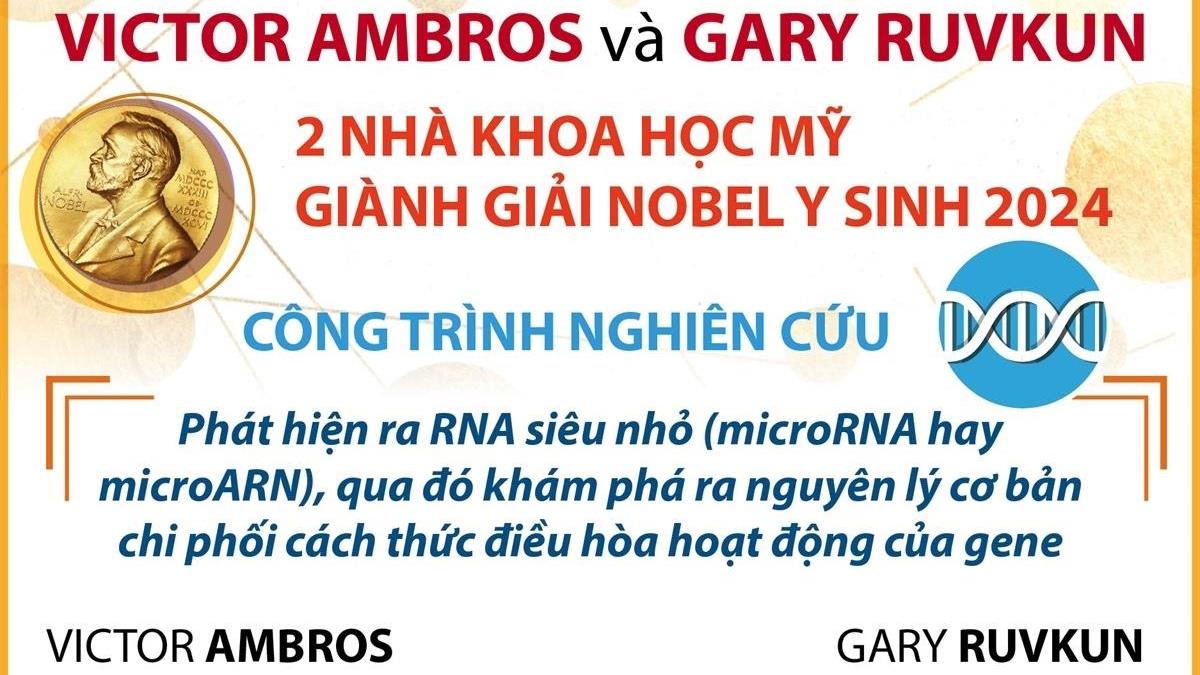 Giải Nobel Y sinh 2024 thuộc về hai nhà khoa học Mỹ nhờ phát hiện về microRNA