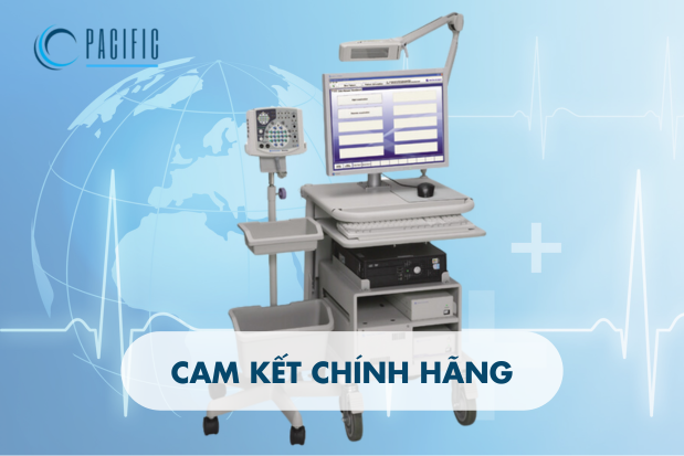 Cam kết chính hãng