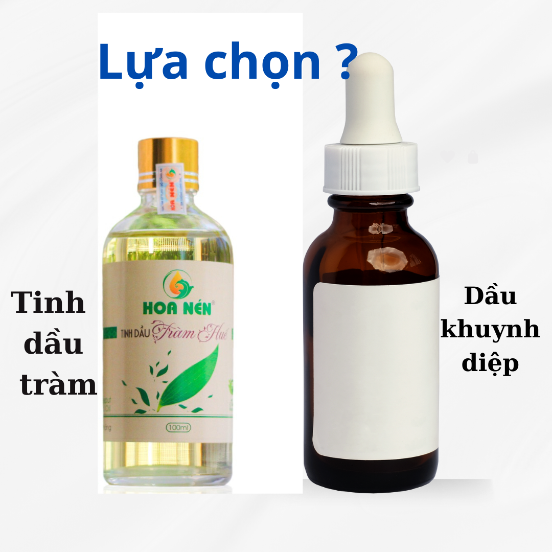 Lựa Chọn Tinh Dầu Tràm Hay Tinh Dầu Khuynh Diệp Cho Bé Yêu Của Bạn?