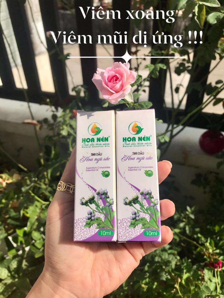T hoa ngũ sắc 10