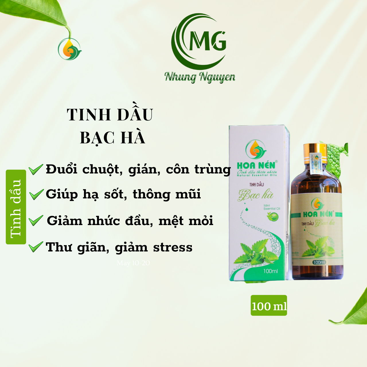 T Bạc hà 100