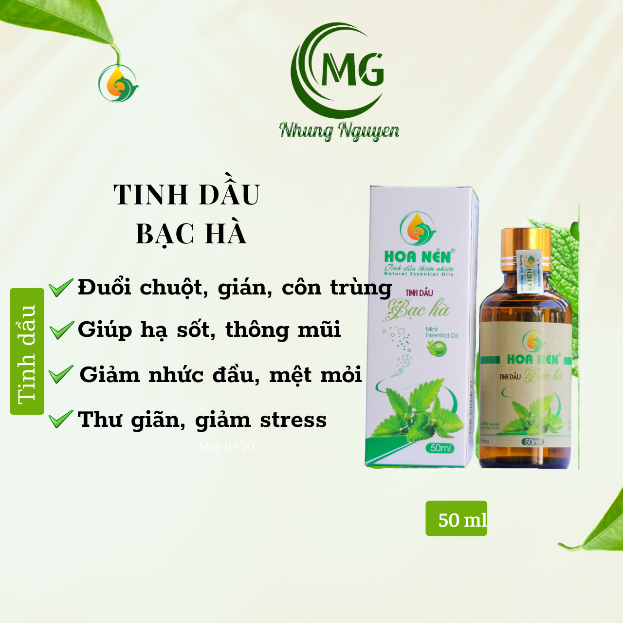 T Bạc hà 50