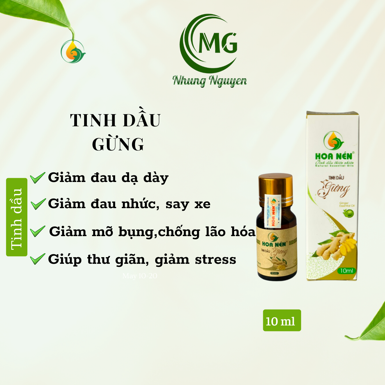 Tinh dầu Gừng - Hoa Nén