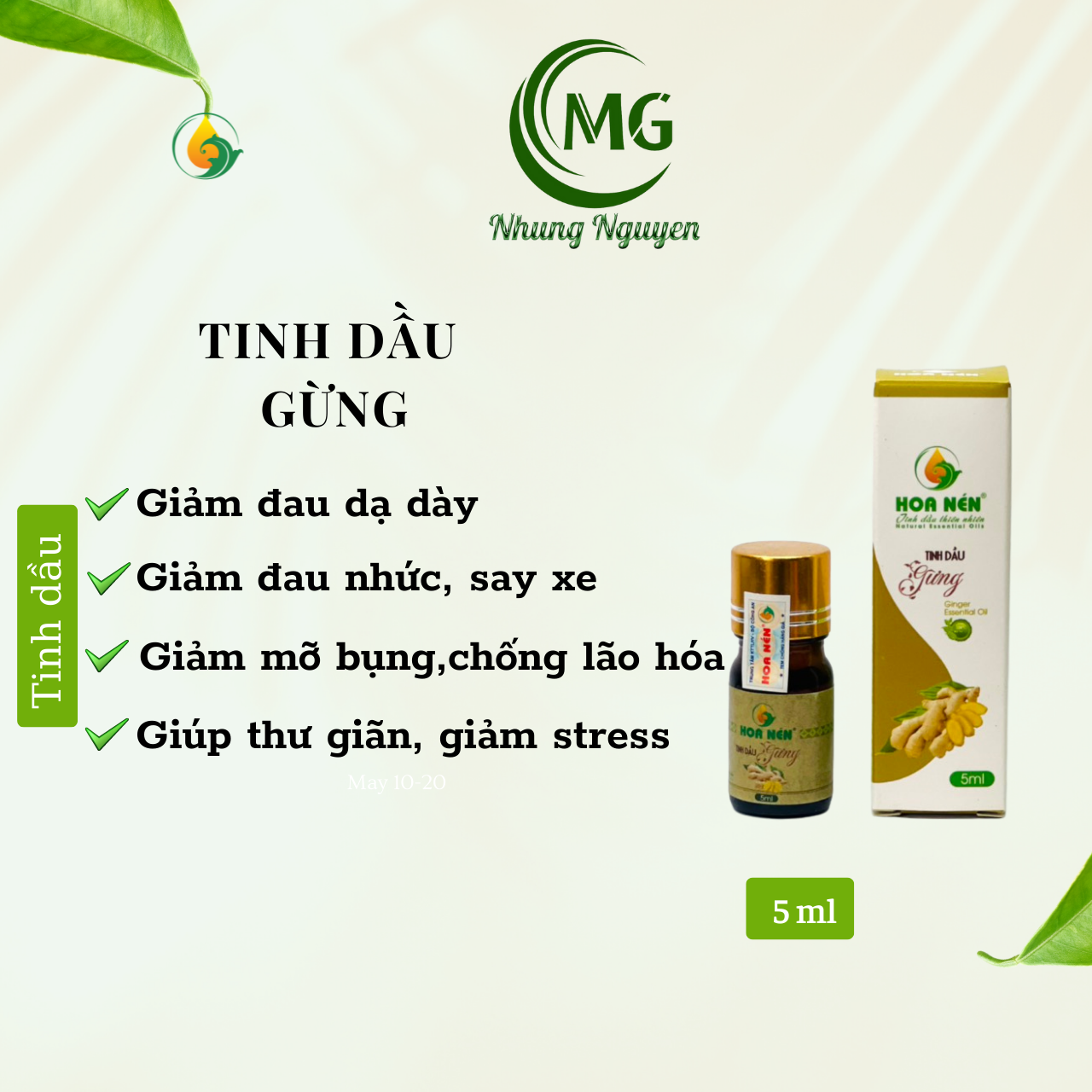 T gừng 5