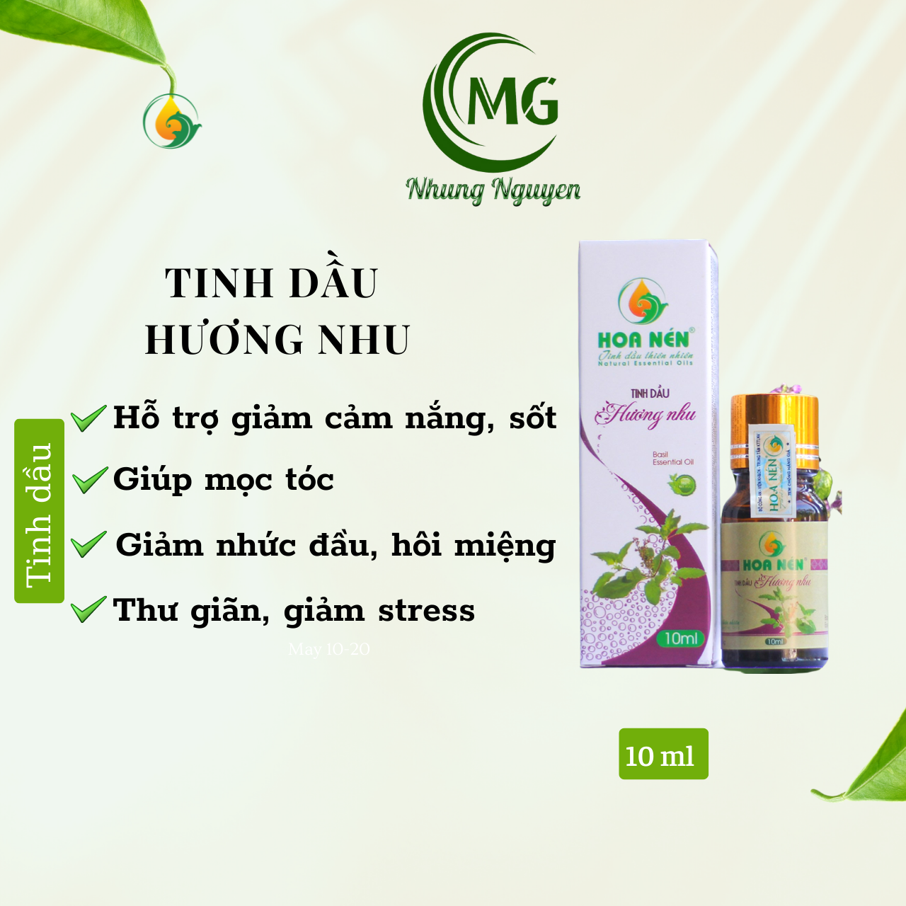 Tinh dầu Hương Nhu - Hoa Nén
