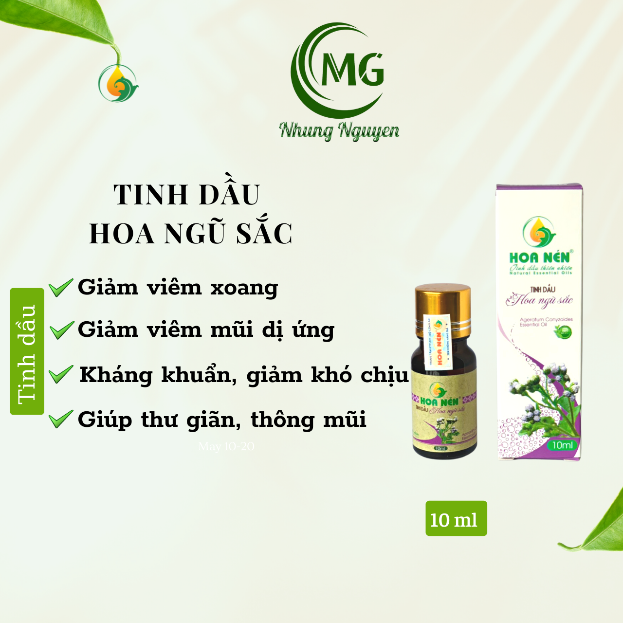 T hoa ngũ sắc 10