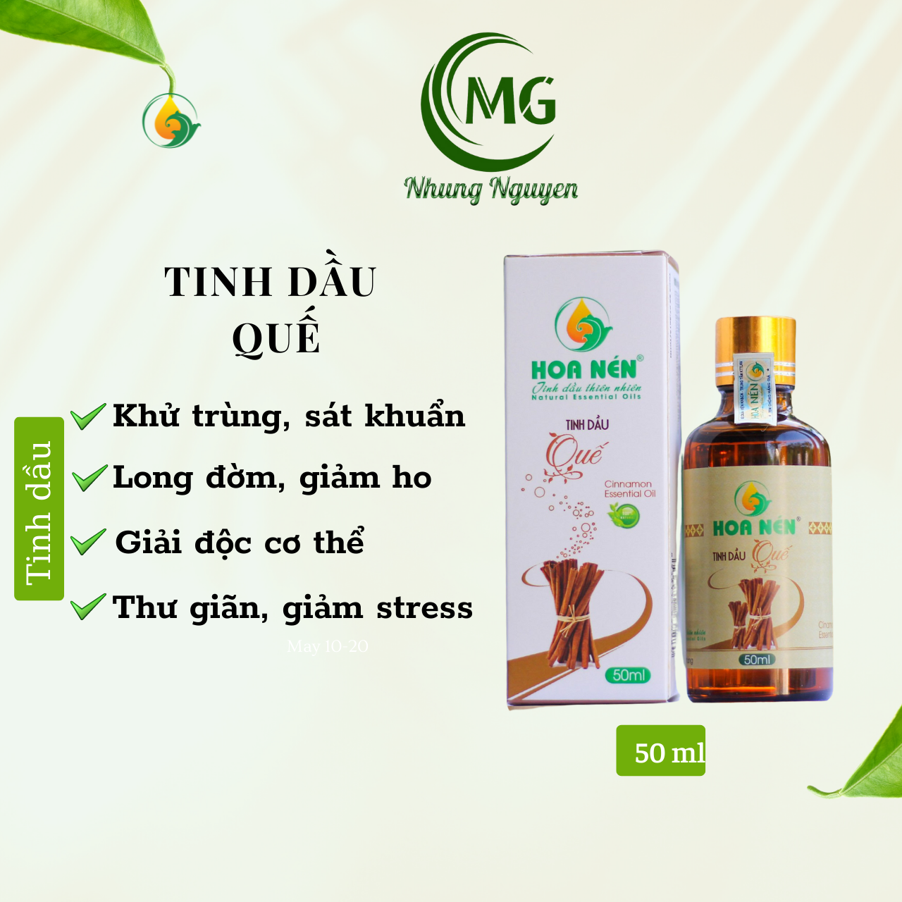 T Quế 50