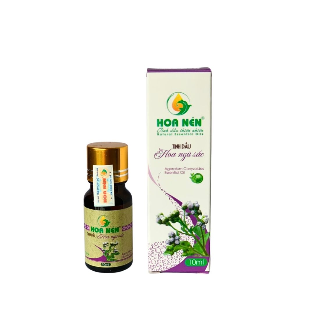 Tinh dầu Ngũ Sắc - Hoa Nén