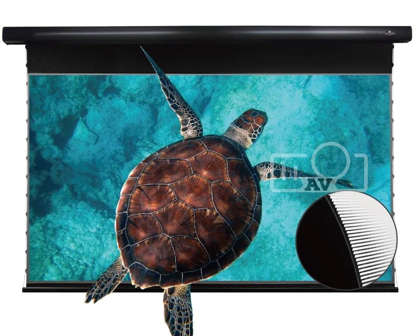 Màn điện âm trần quang học Vividstorm (UST)