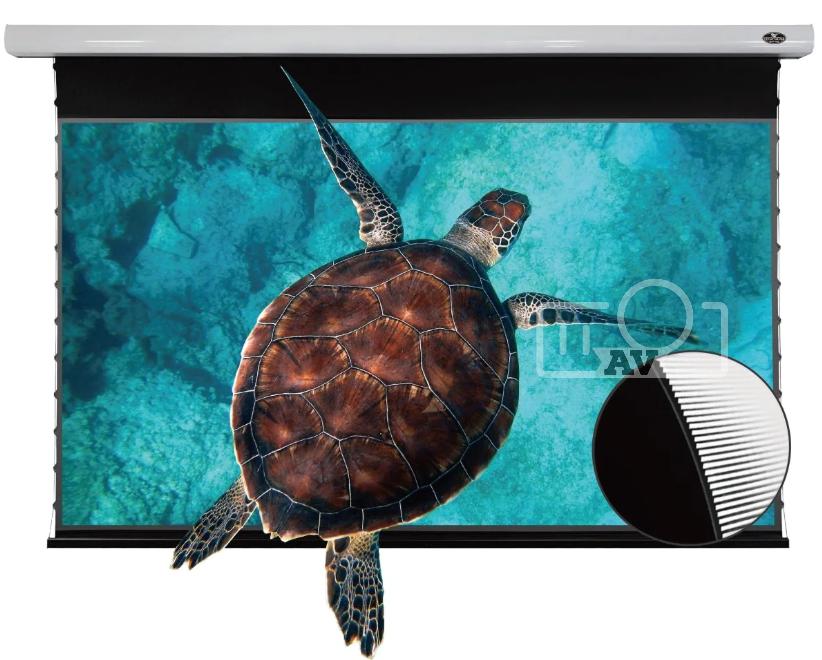 Màn điện âm trần quang học Vividstorm (UST)