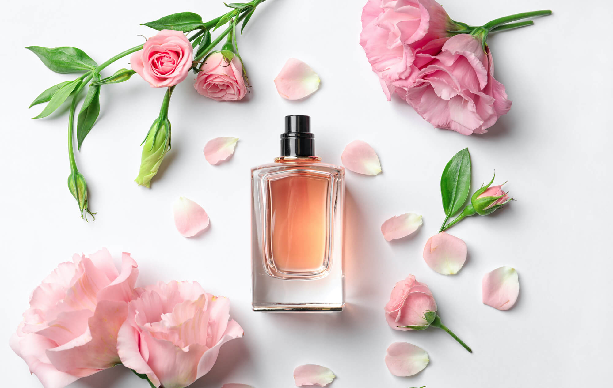 BLOG TÌM HIỂU VỀ NƯỚC HOA