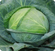 Ảnh 2