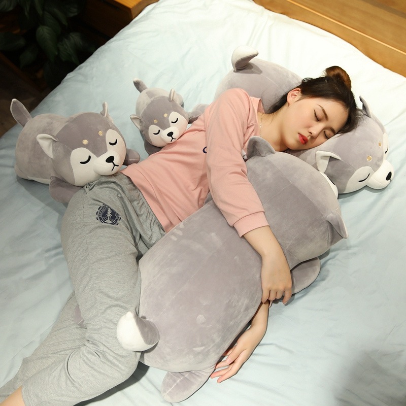Gấu Bông Chó Shiba Nằm