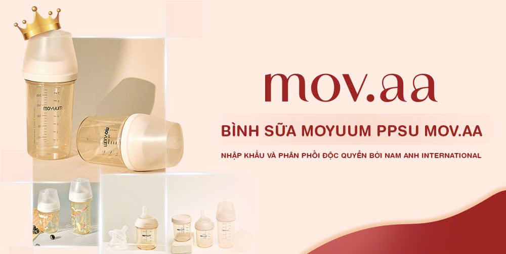 Công ty Cổ phần Nam Anh International
