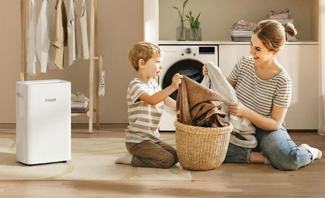 Nguyên nhân nào khiến máy hút ẩm bị đóng băng?