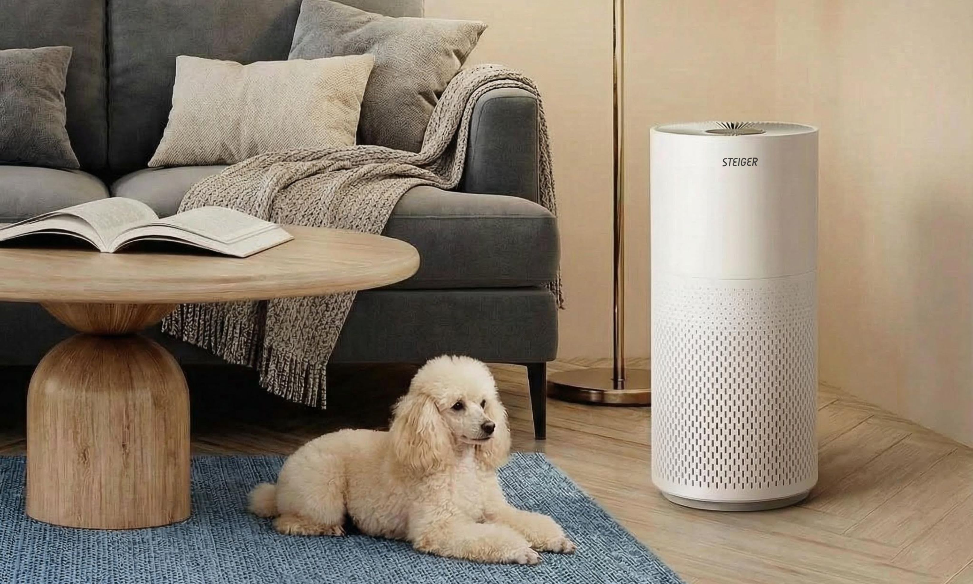 Máy Lọc Không khí STG3578/WH