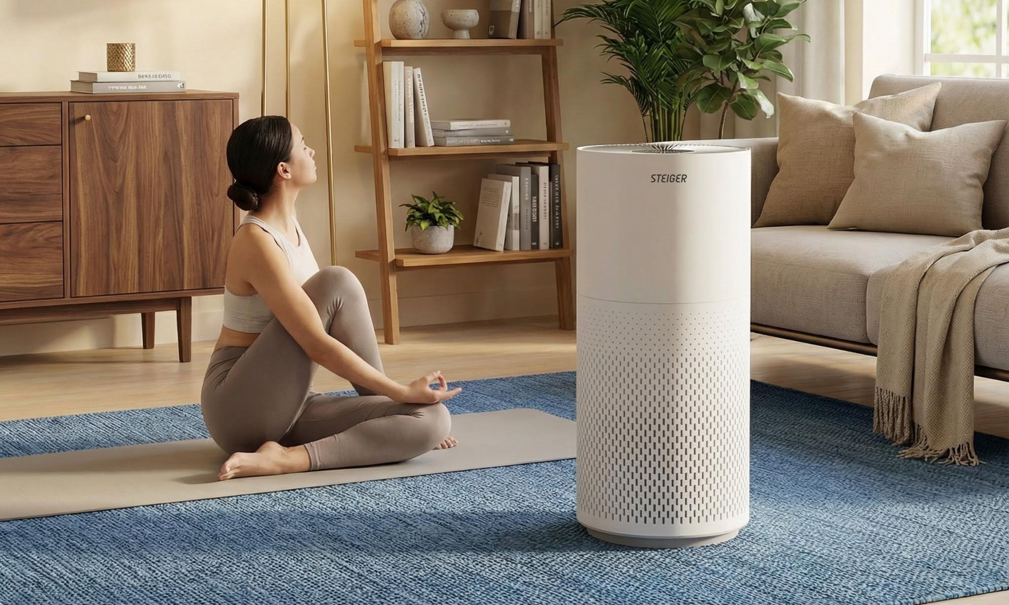 Máy Lọc Không khí STG3578/WH