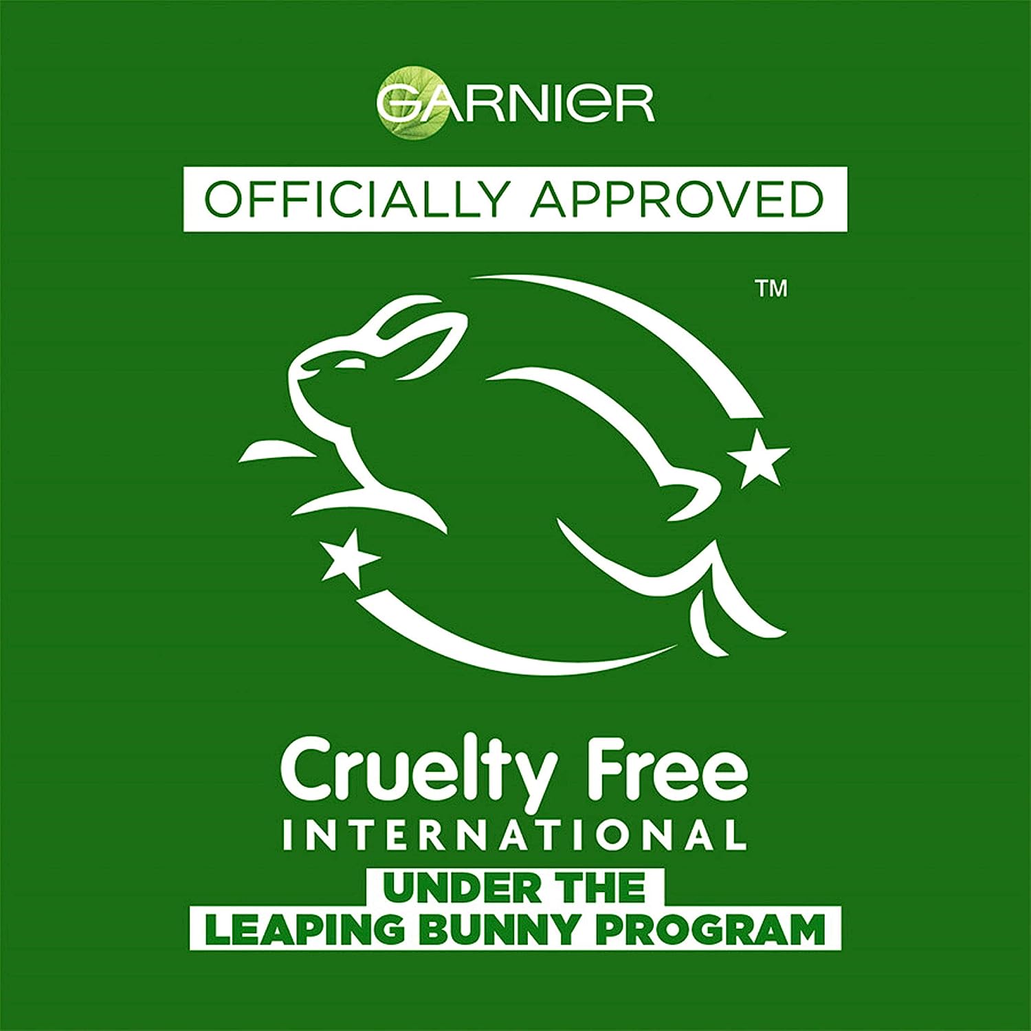 Bọt mousse Garnier Fructis Style tạo phồng giữ nếp - 182gram