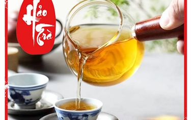Dành cho người mới