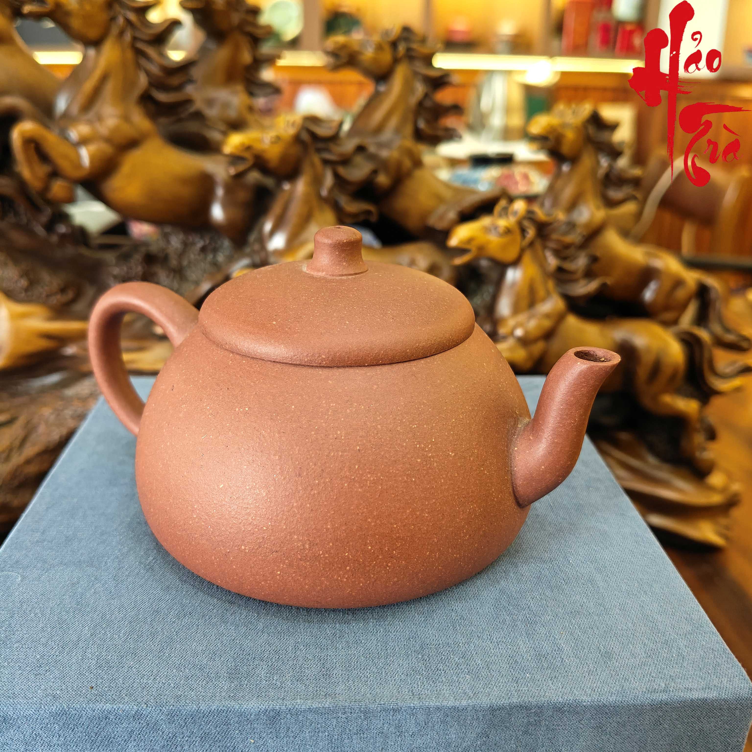 NH1 Ấm Tử Sa AM298 - 170ml