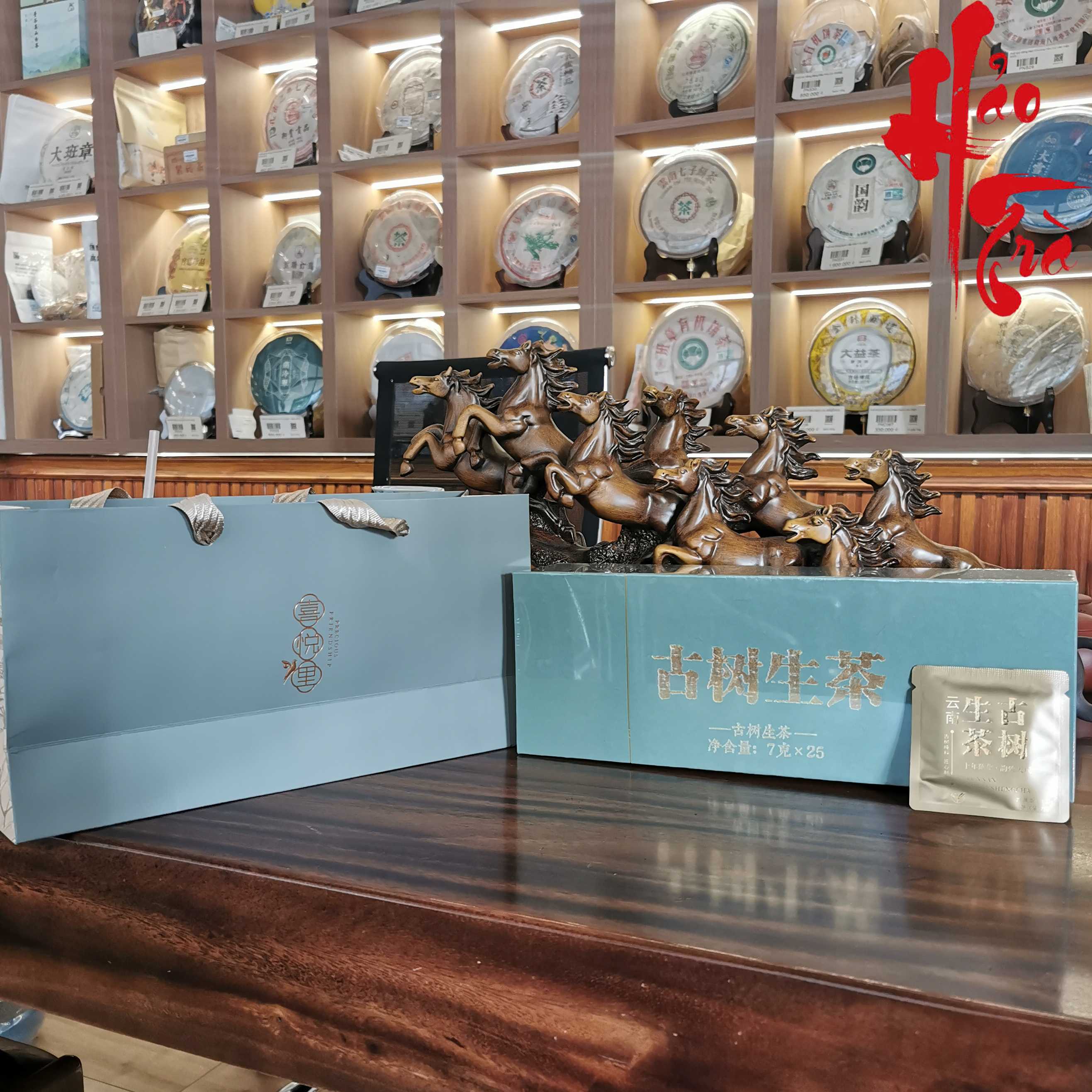 Phổ Nhĩ Sống Cổ Thụ Năm 2025