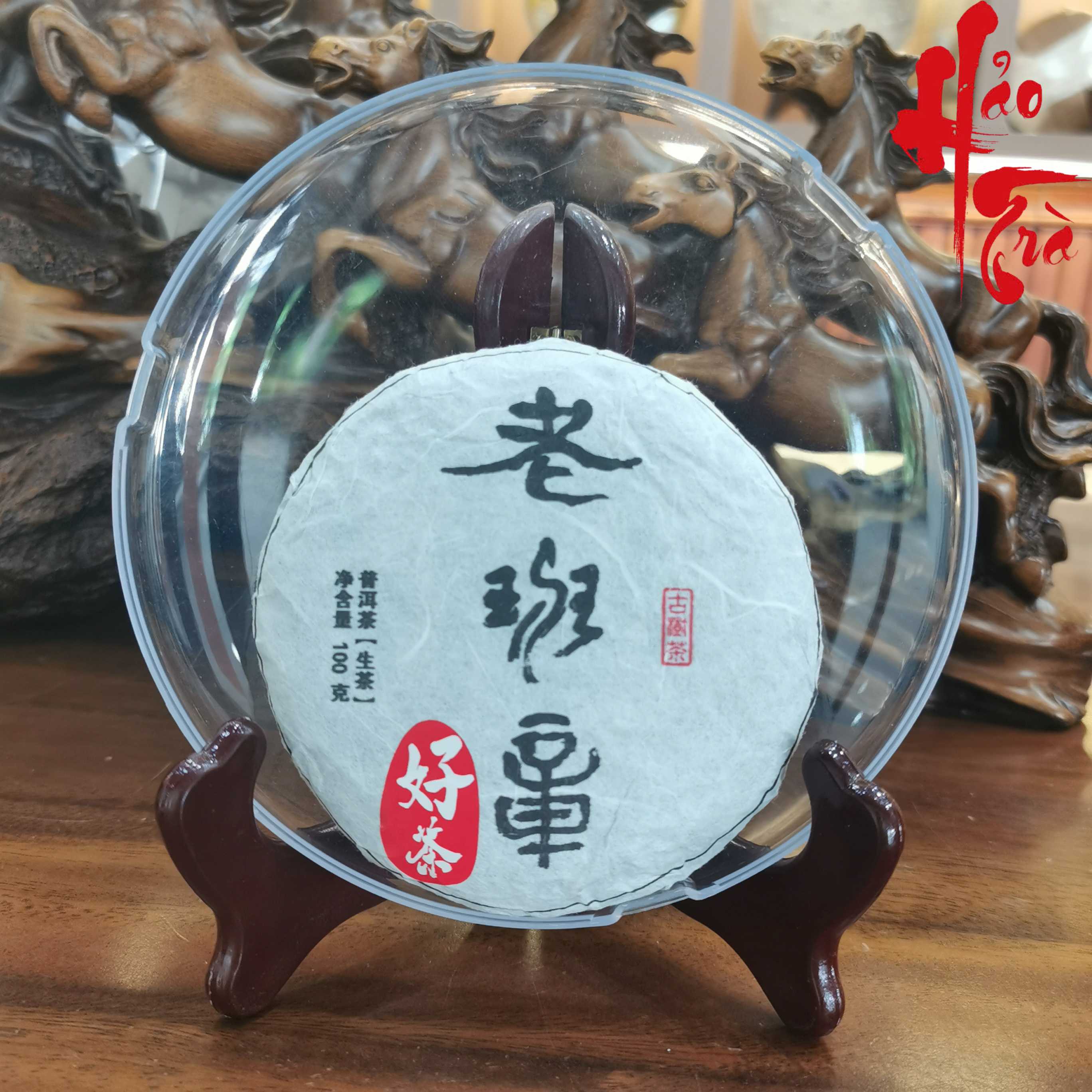 Phổ Nhĩ Sống Lão Ban Chương Thuần Cổ Thụ 2026
