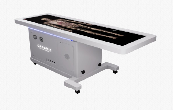 Bàn giải phẫu ảo (Virtual Dissection Table)