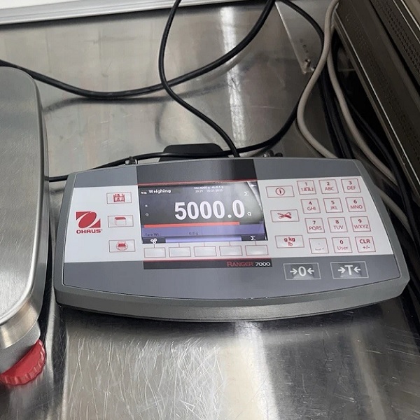Cân bàn điện tử hiện số OHAUS Model R71MD6 (Ranger 7000)