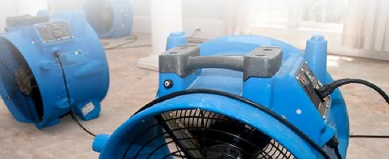 Máy đo vi khí hậu Kestrel DROP D2 Wireless