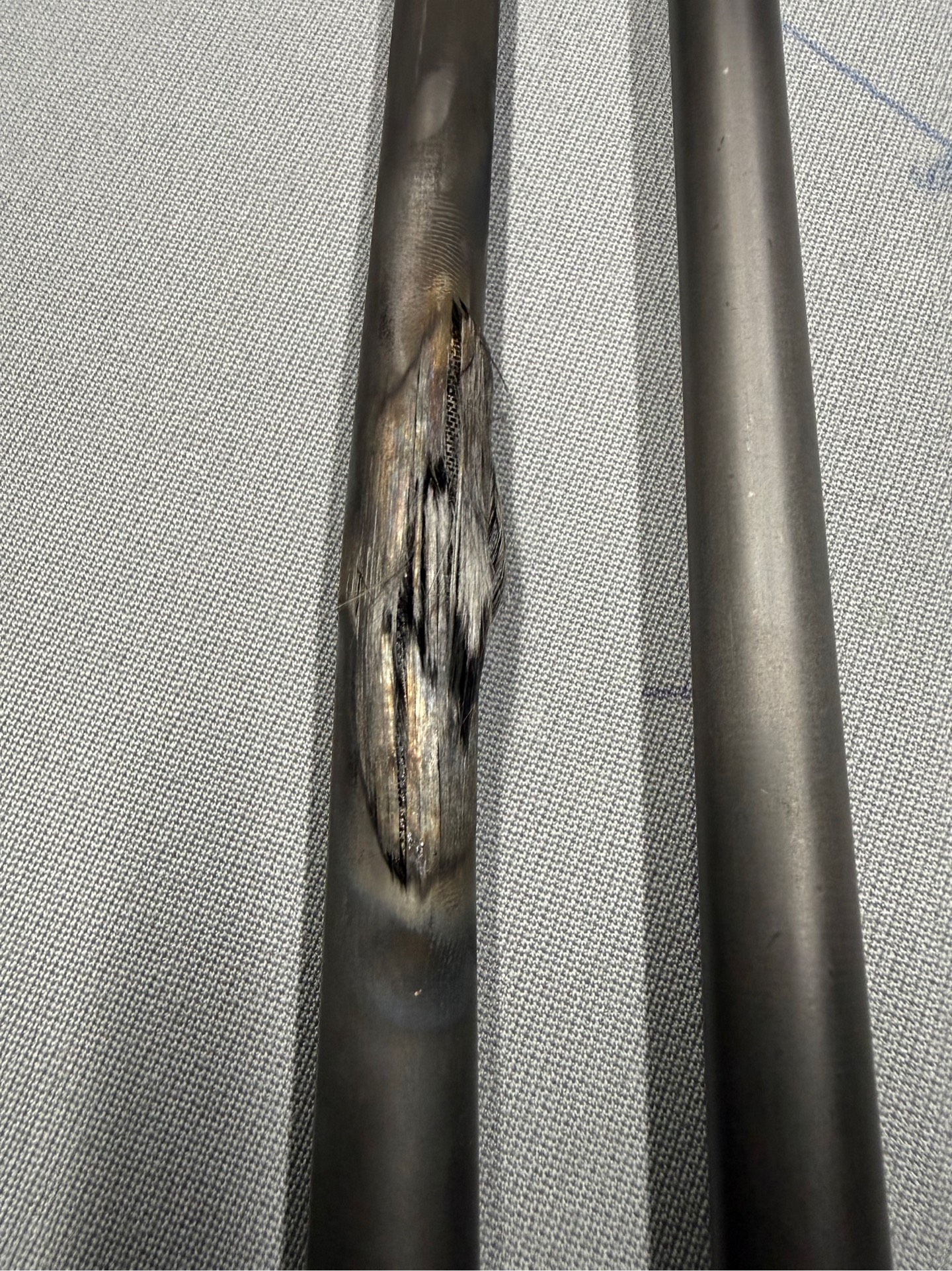 Crown Cues Royal Beasts Series -