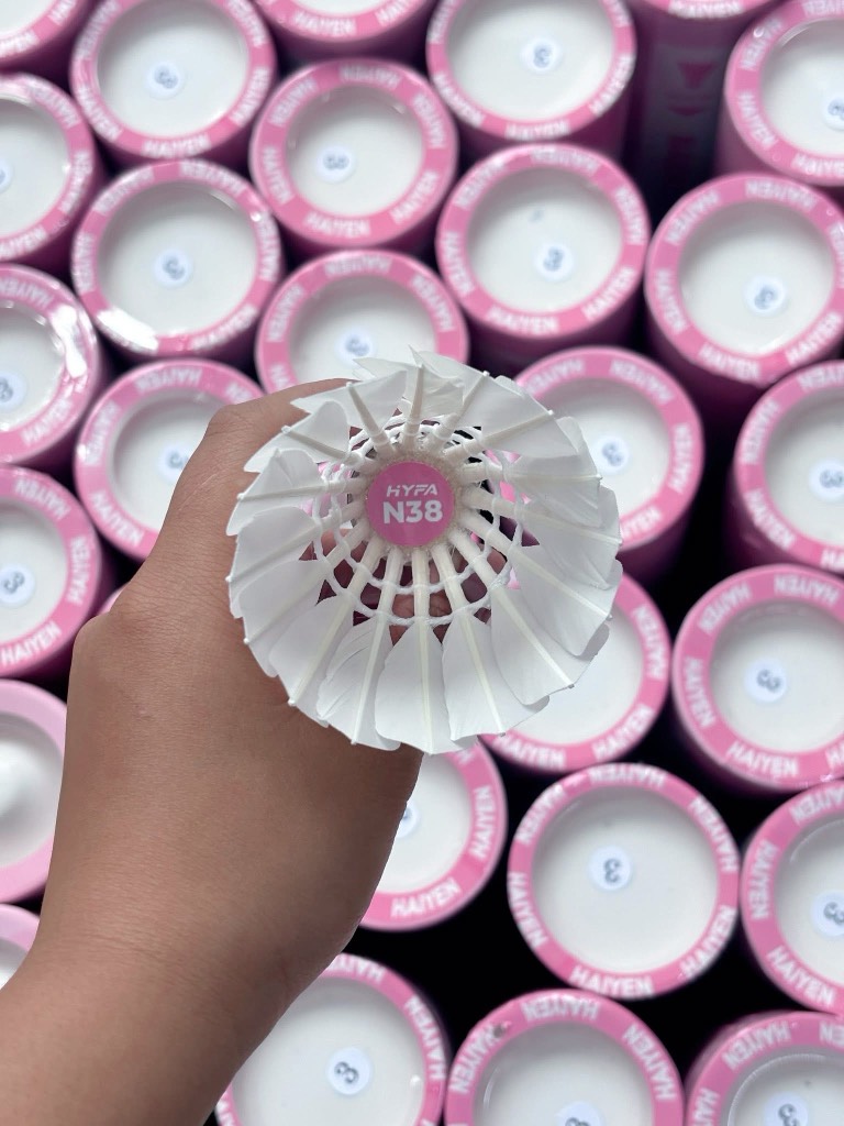 Cầu Hải Yến N38 hồng