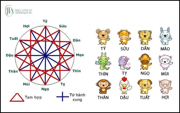 Các tuổi tam hợp: Ý nghĩa và cách vận dụng phong thủy