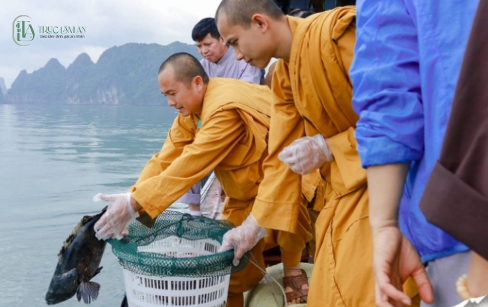 Hướng dẫn nghi thức phóng sinh đúng cách cho từng loài