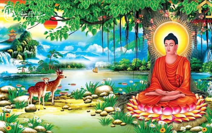 Tứ Diệu Đế và Bát Chánh Đạo: Chân lý giải thoát khổ đau