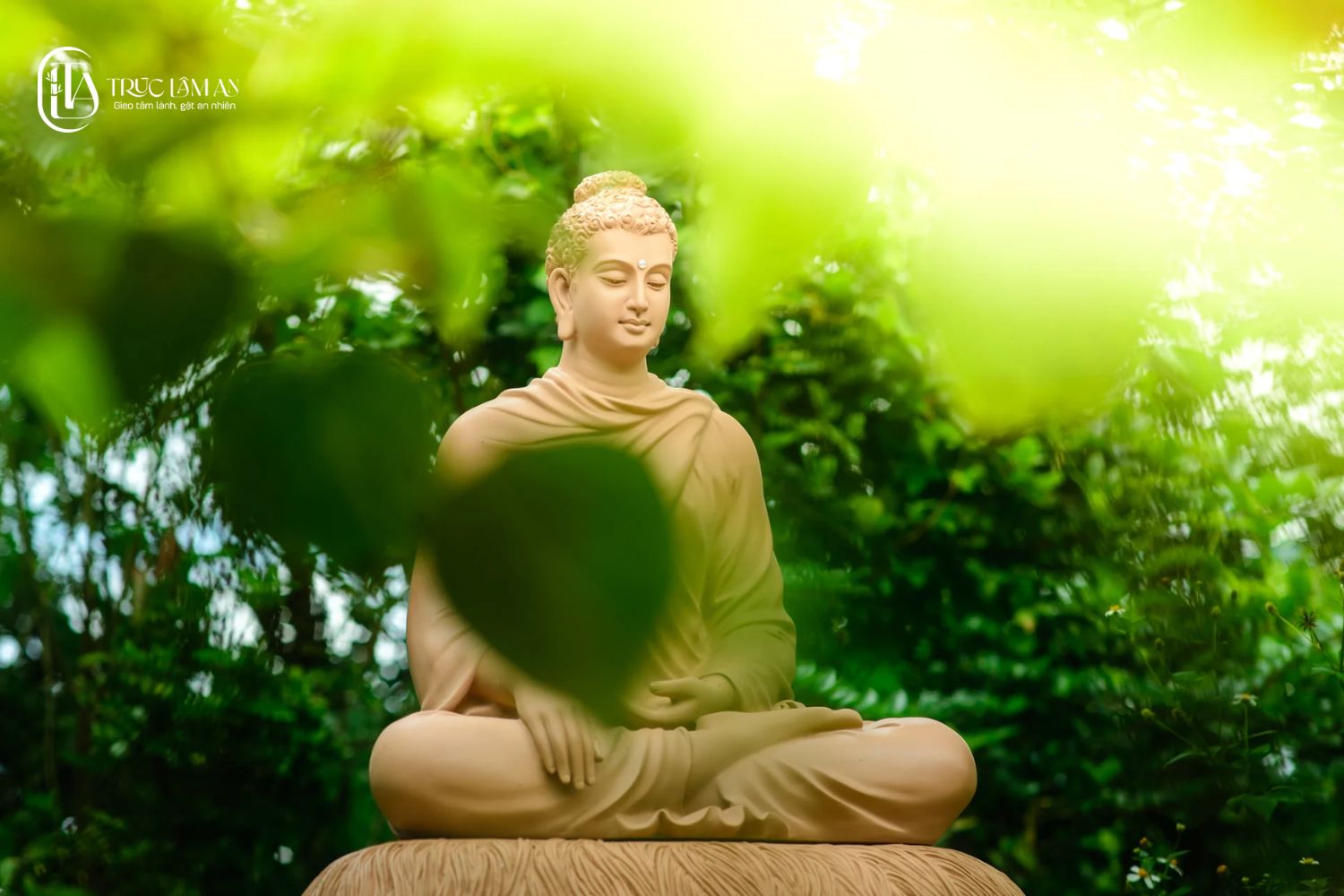 Những lưu ý khi chọn sách Phật giáo 