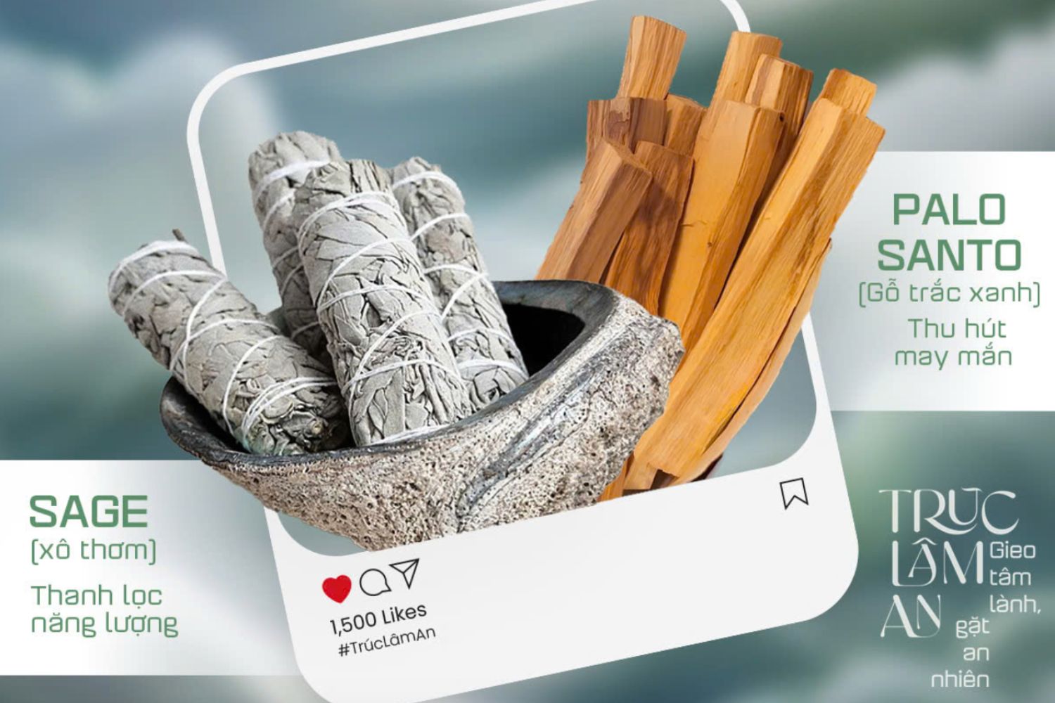 Palo Santo và Sage: Gỗ trắc xanh và xô thơm thanh lọc không gian và tâm trí